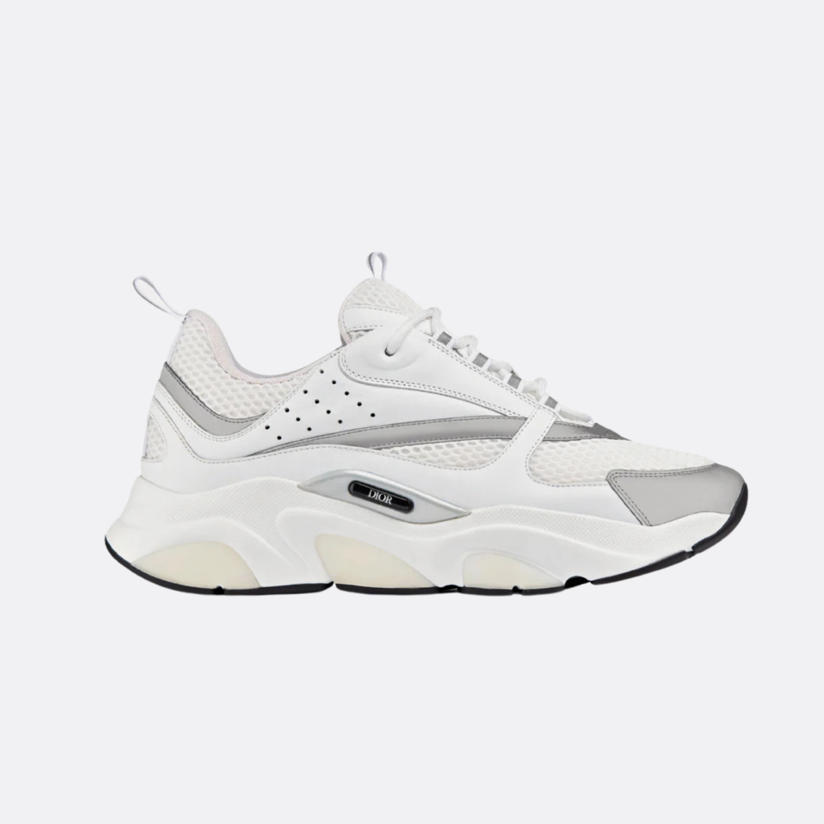 Dior B22 | White Silver