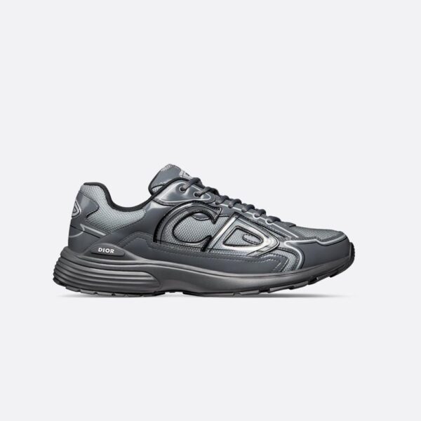 Dior B30 Grey